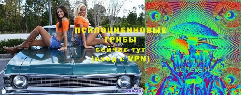 Галлюциногенные грибы Cubensis  Советская Гавань 